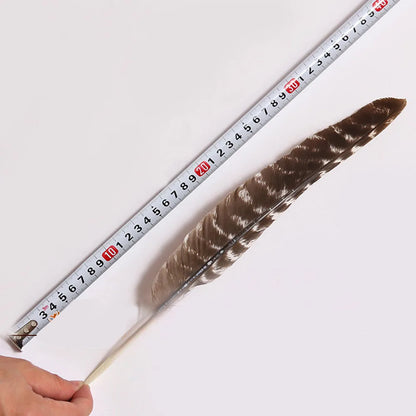 35cm size black Turkey feather for white sage burn or home decoration