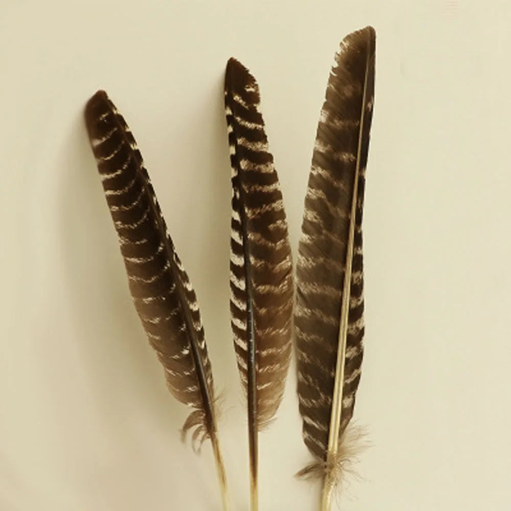 35cm size black Turkey feather for white sage burn or home decoration