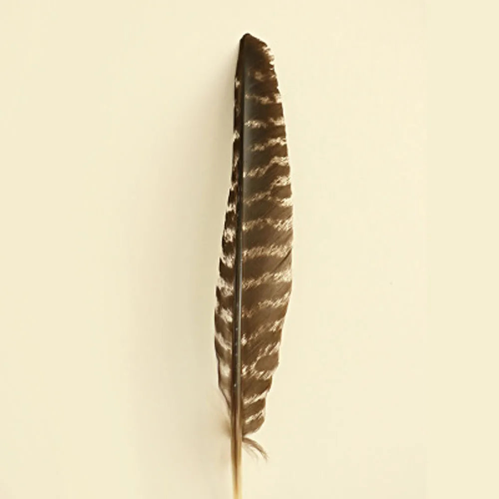 35cm size black Turkey feather for white sage burn or home decoration