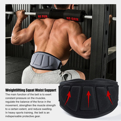 Weight Lifting Belt